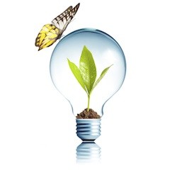 Butterfly lightbulb.jpg