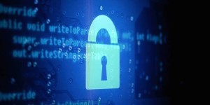 13334048894_db638d5080_k__1422311217_66.55.20.19