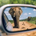 123900378_e668dd966e_m