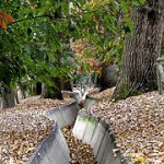 2947025252_064fb65d9c_m