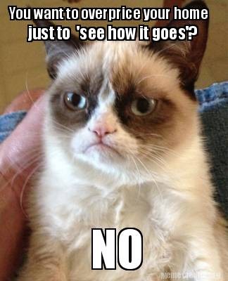 Grumpy Cat