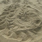 5343061169_a6fc2b0b4a_m