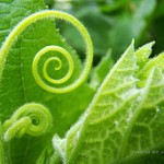 4036820807_2b8a1a23fa_m