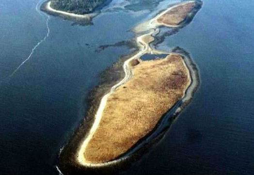 Unusual Homes Canada Island Oasis