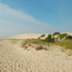 6043047781_8b6f20a70f_n