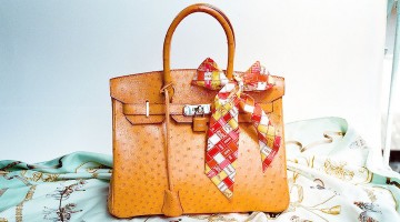 3678242739_48a881049b_b