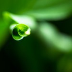 11030076394_00d6680218_n