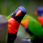 15371262455_13c8a85b49