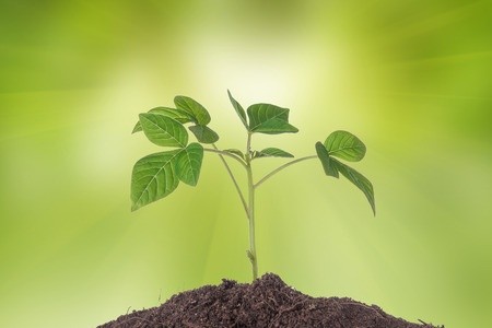 grow your high potential leaders