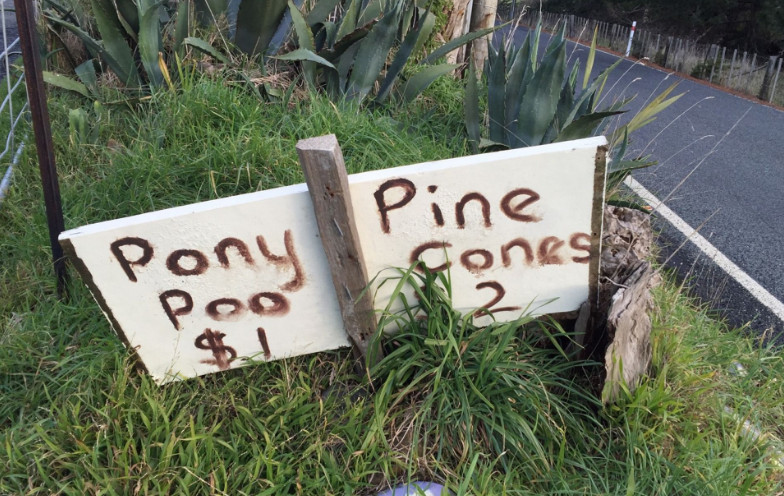 For sale: Pony poo and pine cones