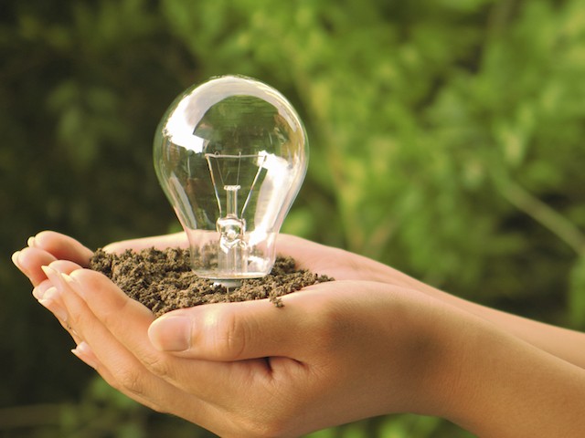 Garden lightbulb2.jpg