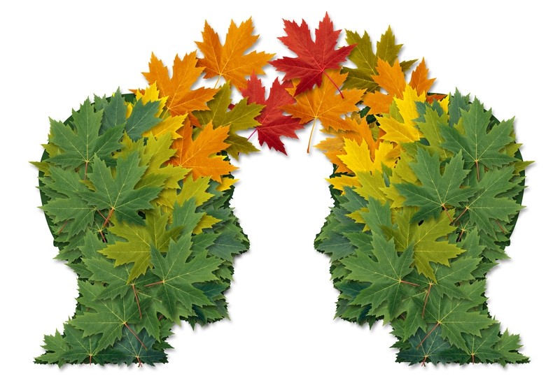 two Heads Leaf.jpg